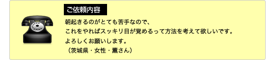 ご依頼内容